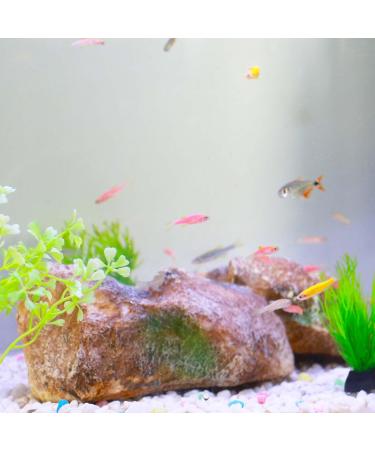 Ctpeng Aquarium Decoration Stone - Natural Look Decorative Rock & Hiding Place (25cm 13cm 7cm Resin) - Ideal Aquarium Accessories - Buy Online on SooperMarket.com