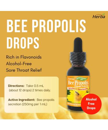 Herba Bee Propolis Liquid Drops 30ml - No Alcohol | Helps Relieve Sore Throats and Mouth Infections | Rich in Flavonoids | 100% Natural - Premium Grade | Made in Canada | Alcohol Free Liquid Drops - Buy Online on SooperMarket.com