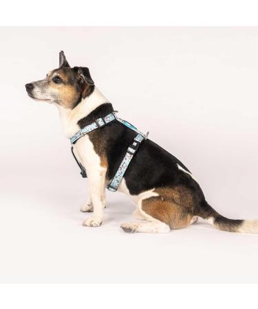 Max & Molly H-Shaped Dog Harness | Ultra-Comfortable Neoprene for Medium Dogs | Unicorn Design | Padded & Lightweight Safety - Buy Online on SooperMarket.com