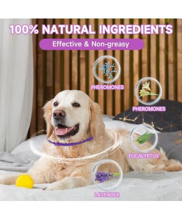 Woyamay Calming Collar for Dogs Adjustable Calming Dog Collar Helps Dogs Anxiety Relief Natural Calming Pheromone Dog Collar Lasts 60 Days Fits All Small Medium Large Dog 2 Pack Purple Purple-2 Pack - Buy Online on SooperMarket.com