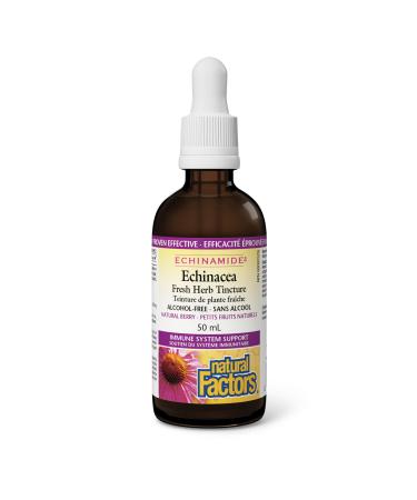 Echinacea Alcohol-Free Fresh Herb Tincture Natural Berry ECHINAMIDE