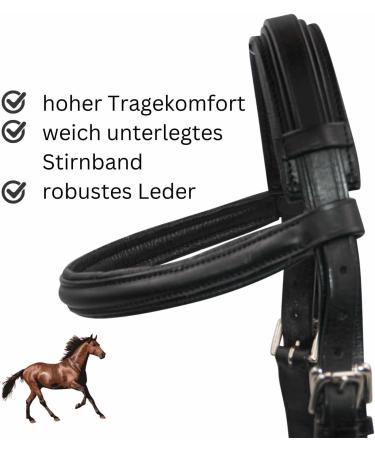 Buy AMKA Leather Cavesson with Bit Buckle - Premium Quality & Comfort for Equine Enthusiasts | International Shipping Available - Buy Online on SooperMarket.com