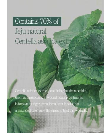 Buy PS.PRETTYSKIN Pure Jeju Cica 70% Facial Cream 50ml | Hypoallergenic Ginseng & Propolis Extract for All Skin Types - Buy Online on SooperMarket.com