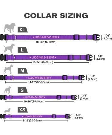 Buy Tagme Personalized Purple Dog Collar for Small Dogs | Embroidered Reflective Nylon with Pet Name & Phone Number - International Shipping Available - Buy Online on SooperMarket.com