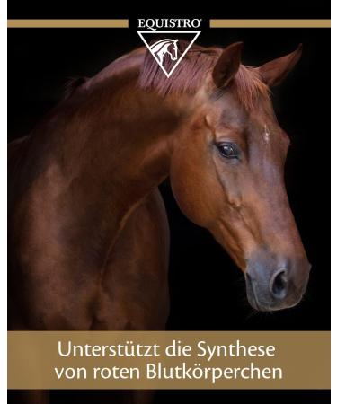 Equistro Haemolytan 400 - Vitality Support Supplement for Horses | Enhance Performance | 250ml - Buy Online on SooperMarket.com