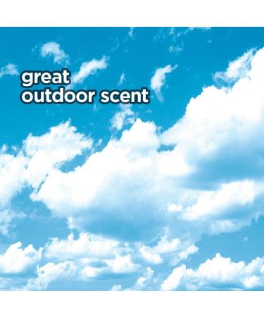 HOME VICTORY Outdoor Scented Dryer Sheets - 480 Count Fabric Softener Sheets - Reduces Wrinkles, Controls Static, Softens Fabric - Pack of 1 - Buy Online on SooperMarket.com