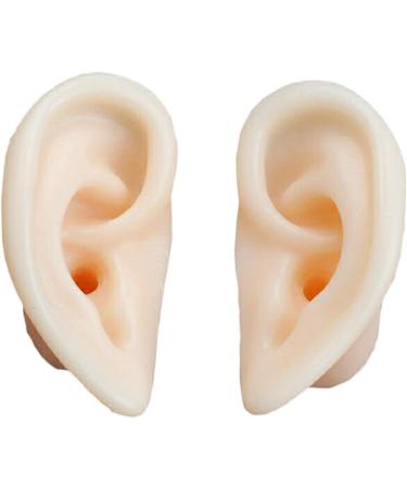 Soft Silicone Ear Template - Artificial Simulation Human Simulation Ear - Eare Acupuncture Acupuncture Point Template - for Acupuncture Soujons Loops - Buy Online on SooperMarket.com