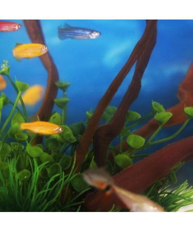 Buy Ctpeng Resin Aquarium Decoration Tree Trunk - Natural Sunken Wood Cave Ornament (23x15.5x11 cm) - Ideal for Fish Tanks - Buy Online on SooperMarket.com