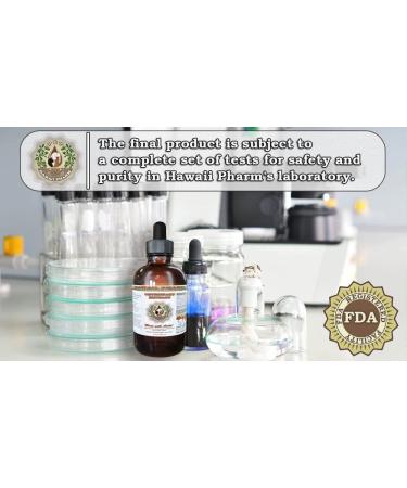 HawaiiPharm Skullcap Natural Alcohol-Free Liquid Extract 2 oz - Pet Herbal Supplement - Buy Online on SooperMarket.com
