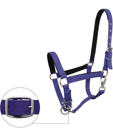 Meta Title: TrustBreech-HAltes Large Navy Blue | Premium Equestrian Riding Breeches - Buy Online on SooperMarket.com