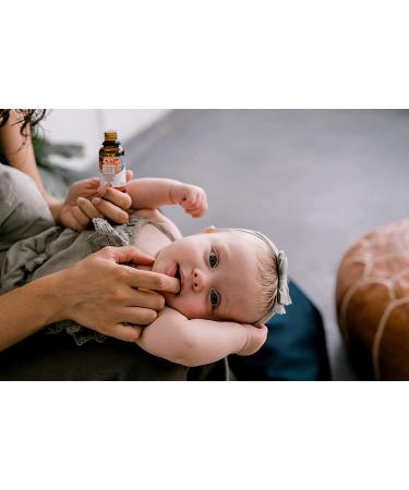 Punkin Butt Teething Oil - 1 oz | Natural Teething Relief for Babies | Chamomile, Sunflower, Peppermint & Clove Oil | Chemical-Free Baby Teething Solution - Buy Online on SooperMarket.com