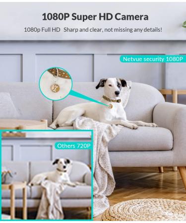 NETVUE 1080P FHD WiFi Pet Camera | Indoor Security Camera with 2-Way Audio, Night Vision, AI Human Detection | Cloud Storage/TF Card | Black - Buy Online on SooperMarket.com