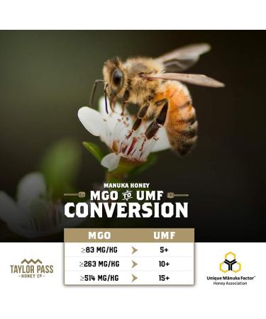 Taylor Pass Honey Co. Manuka Honey MGO83+ UMF5+ 500g | Sustainable New Zealand Honey | (Manuka UMF5+/MGO83+) - Buy Online on SooperMarket.com