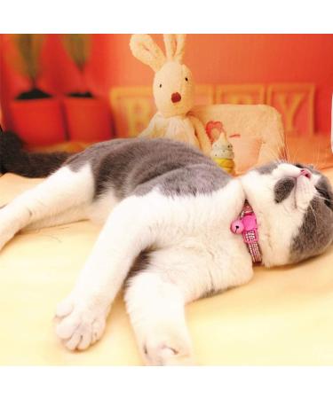 THAIN Basic Adjustable Cat Collar with Bling Diamond, Breakaway and Bell - Pink for Kitten Girls and Boys - Buy Online on SooperMarket.com