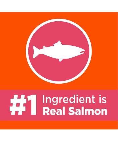 IAMS Perfect Portions Wet Cat Food (Chicken & Salmon) + IAMS Proactive Health Adult Dry Cat Food with Salmon Cat Food + Cat Food with Salmon Chicken and Salmon 75 g (Pack of 12) - Buy Online on SooperMarket.com