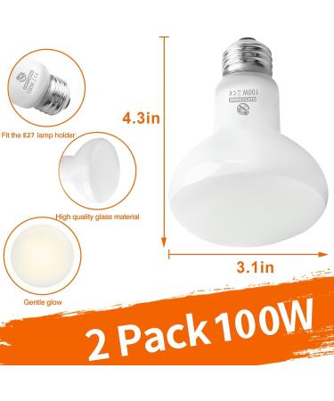 REPTI HOME Reptile Heat Lamp Bulbs 2 Pack 100W Heat Lamp for Reptiles E27 Basking Light Bulb for Vivarium Turtle Lizard Tortoise Bearded Dragon Puppy Chick - Buy Online on SooperMarket.com