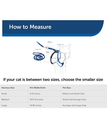PetSafe Come With Me Kitty Harness & Bungee Leash - Large Royal Blue/Navy | Best Cat Harness for International Shipping - Buy Online on SooperMarket.com