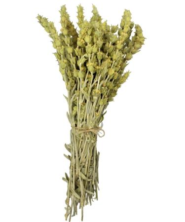 Greek Mountain Whole Tea Loose Herb Tea - Sideritis Raeseri (75g) Unflavoured Raeseri_Whole-75g