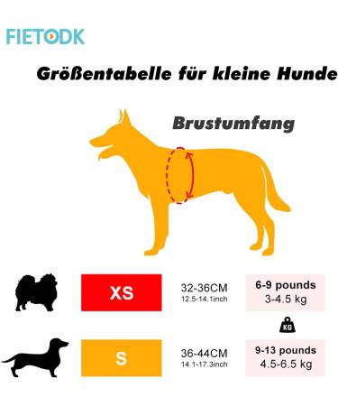 Shop Small Dog Harness & Puppy Dishes - Curli Harnesses & Catware for XS Dogs - Buy Online on SooperMarket.com