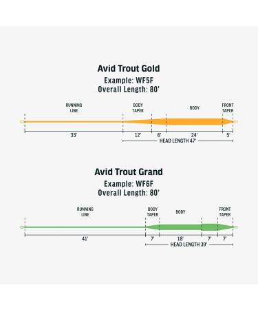 RIO Avid Series Trout Fly Line - Slickcast WF6F Floating Freshwater Line for Ultimate Trout Fishing - Buy Online on SooperMarket.com