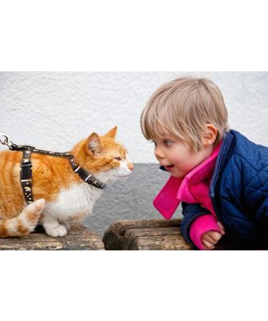 Gold Moons Glow in The Dark Cat Harness and Leash Set for Kittens & Small Animals - Buy Online on SooperMarket.com