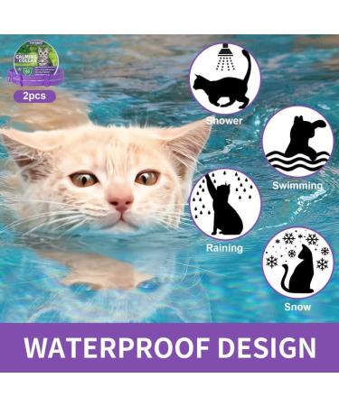 Calming Cat Collar for Anxiety Relief | Adjustable, Waterproof, Safe Pheromone Anti-Anxiety Treatment | Natural Calm for Kitten, Medium, Large Cats | Purple (2 Pack) - Buy Online on SooperMarket.com