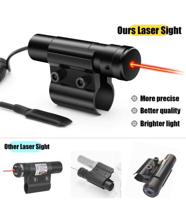 Insect Salt Gun Laser for Bug Salt 2.0 & 3.0 - Eradicate Insects with Laser Precision | Airsoft BB Pump Add-On - Buy Online on SooperMarket.com