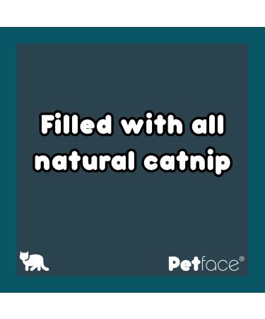 Petface Catnip Butterfly Teaser - Fun Interactive Toy for Cats - Buy Online on SooperMarket.com