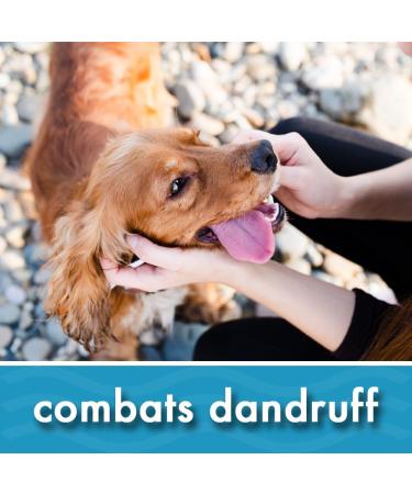 Oatmeal Aloe Vera Dog Shampoo for Dry Itchy Flaky Skin Gentle on Sensitive Skin & Hypoallergenic | Natural Soothing Anti Itch Anti Dandruff & Allergy Relief Dog Conditioner | Pikes Pouches (300ml) 300 ml (Pack of 1) - Buy Online on SooperMarket.com