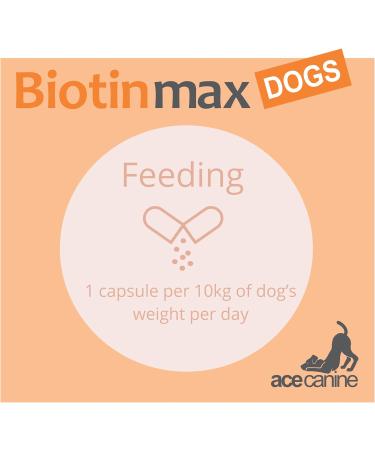 BiotinMax Vitamin Supplement for Dogs Coat & Skin Care Strongest Clinical Strength Biotin 5000 g 100 Capsules - Buy Online on SooperMarket.com