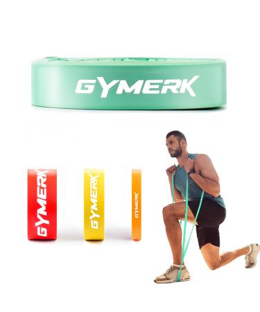 Gykom resistance bands resistance tapes strength training with door anchor & training jackets & nylon bags fitness straps set for pull-ups training strength training yoga pilates physiotherapy blue-green