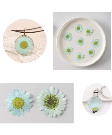 50pcs Natural Dried Daisy Flowers - Vacuum Packed for Decoration & Jewelry Making (5 Colors) - Buy Online on SooperMarket.com