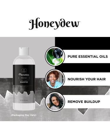 Activated Charcoal Shampoo for Oily Hair - Sulfate-Free Deep Cleansing for Scalp Detox & Greasy Hair - Clarifying & Moisturizing Formula - Buy Online on SooperMarket.com