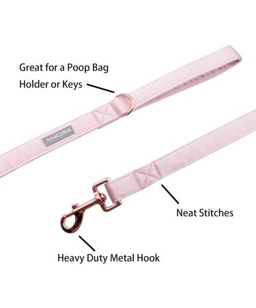 Lionet Paws Dog Leash - Silk Leash for All Dog Sizes | Matching Collars in Pink for Boys & Girls | Ideal XS Dog Leash (Pack of 1) - Buy Online on SooperMarket.com