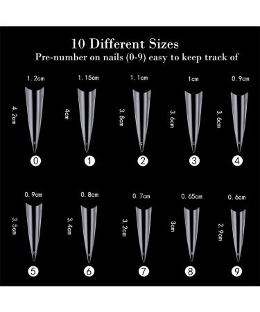 Noverlife 1200PCS C Curved Long Stiletto French False Nail Tips | 10 Sizes Half Cover Acrylic Claw Nails | Nail Art Fingernail Tips for Salon DIY | Clear & Natural - Buy Online on SooperMarket.com