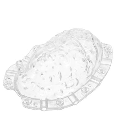 IWOWHERO Fruits Forming Mould Vegetable Growing Mold Ginseng Fruit Melon Shaping Mold Novel Shaping Mold Multipurpose Gourd Head