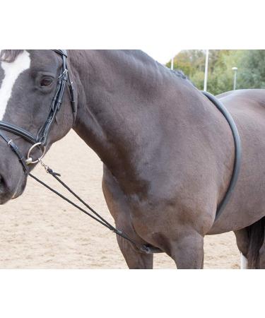 Shires Soft Lunging Aid- 470 One Size Black