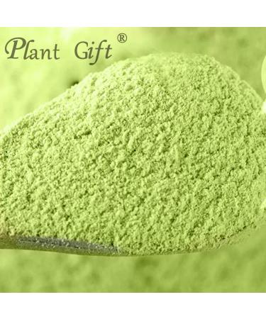 Plant Gift 100% Celery Powder 100G/3.25oz Non-GMO Powder No Filler No additives Natural Chinese Flour Adds Flavor and Taste Great Flavor for Drinks 2UK-PO0081 - Buy Online on SooperMarket.com