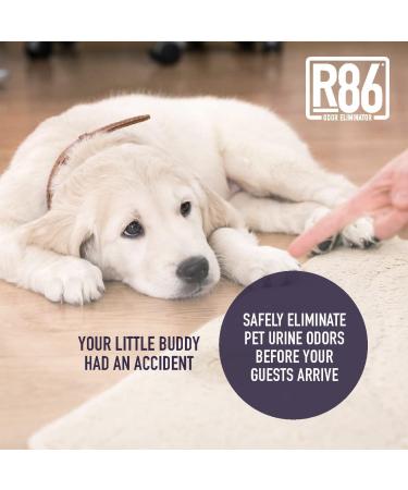 R86 Pet Odor Eliminator - Neutralize Litter Box & Carpet Odors, Skunk Spray, Air & Fabric Odor - Safe on Paws - Natural Granular Formula - Use Wet or Dry - Buy Online on SooperMarket.com