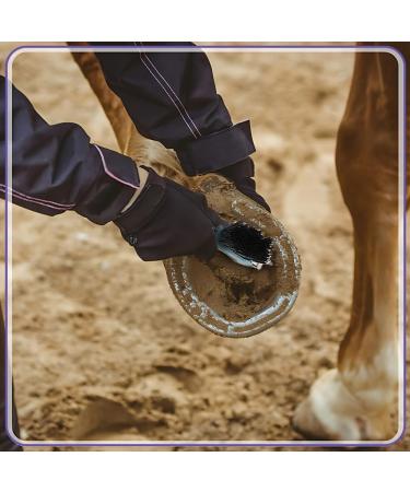 Buy HZAOPZE 2 PCs 2-in-1 Hoof Scraper & Brush - Anti-Slipping Horse Grooming Tool for Clean Hooves | International Shipping Available - Buy Online on SooperMarket.com