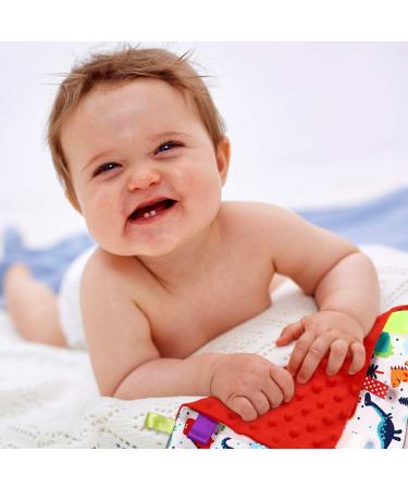 NUOBESTY Baby Security Tag Blanket - Dinosaur Pattern Taggy Blanket for Newborns - Buy Online on SooperMarket.com
