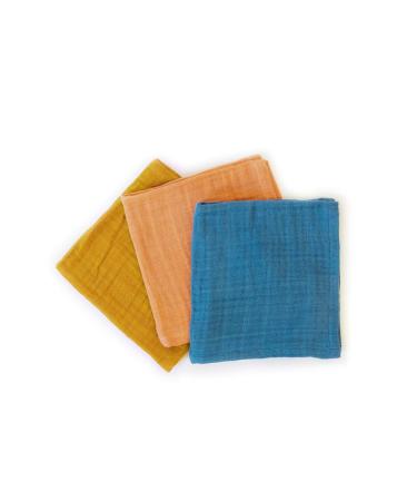Full Circle Kind Collection, 100% Organic Cotton, Plant-dyed Kitchen Cloths, Set of 3, Multi Color Multicolor
