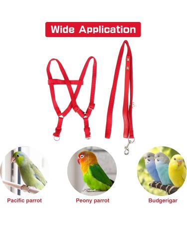 Felenny Bird Dishes & Leash - Adjustable Outdoor Accessories for Scarlet Macaw Sun Conure and Nymphensittich - Anti-Bite Protection (Large Red) - Buy Online on SooperMarket.com