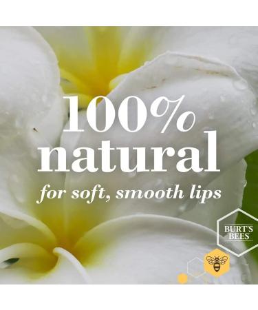 Burt's Bees Rosemary Lemon Lip Butter 0.4oz - 6 Tins | 100% Natural Moisturizing Lip Balm | Pack of 1 - Buy Online on SooperMarket.com