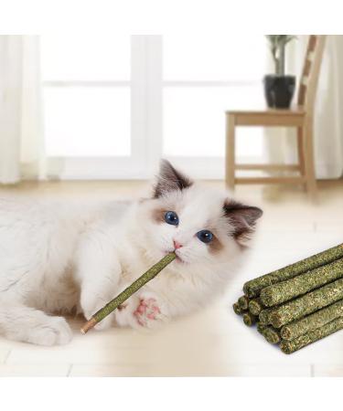 OSDUE 12PCS Cat Catnip Sticks Catnip Toys for Cats Teething Toys Cat Chew Toy Teeth Clean Chewing Grindin for Cat Kitten Kitty Natural Wood Sticks for Cats Play and Relax A-12 PCS Cat Catnip Sticks - Buy Online on SooperMarket.com