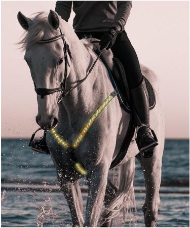 FM2018XSL Horse Harness LED Breastplate - Luminous Reflective Belt for Equestrian Safety | Outdoor Horse Riding Gear - Bright Yellow - Buy Online on SooperMarket.com