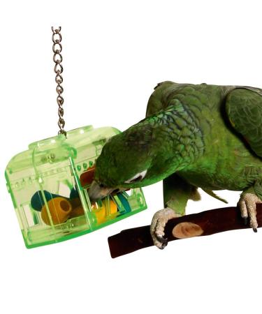 "The Bird House" Interactive Treasure Bird Toy 1 Count (Pack of 1)