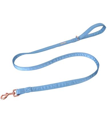 Lionet Paws Dog Leash - Silk Leash for Small Medium Large Dogs Matching Collars for Girls and Boys XS Leash (Pack of 1) Blue