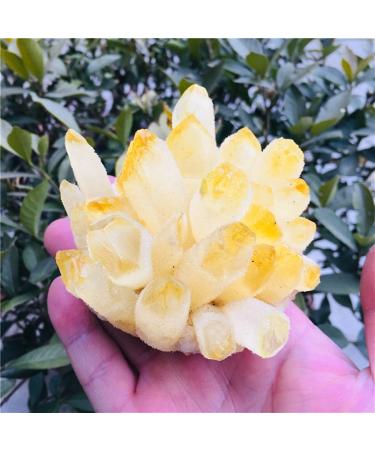 Natural Yellow Ghost Quartz Crystals raw Gemstone Specimen for Home&Office Decoration fengshui (Size : 800-890g) HOMEZHOU (Size : 600-690g)