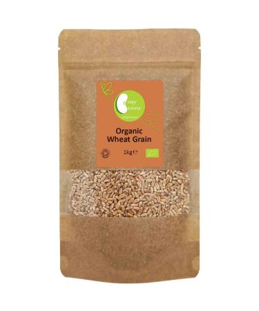 Organic Wheat Grain - Certified Organic - by Busy Beans Organic (1kg)